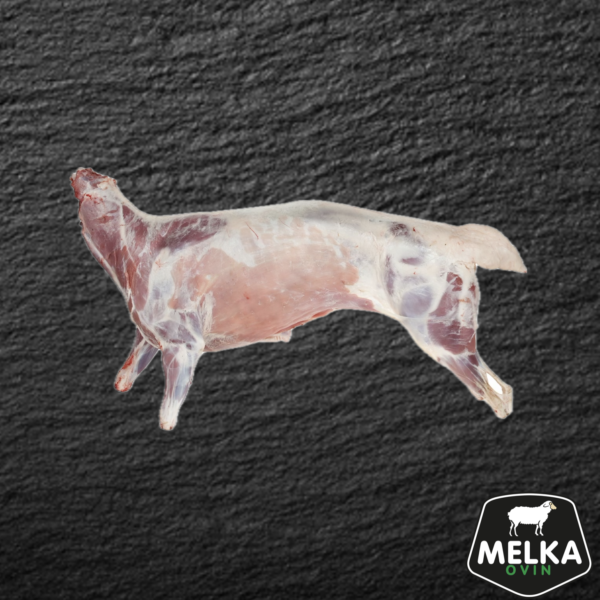 Mouton entier / demi